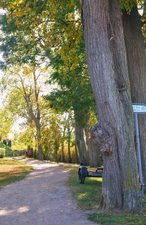 Am Hafensteig 19 Apartman Neustadt in Holstein Kültér fotó